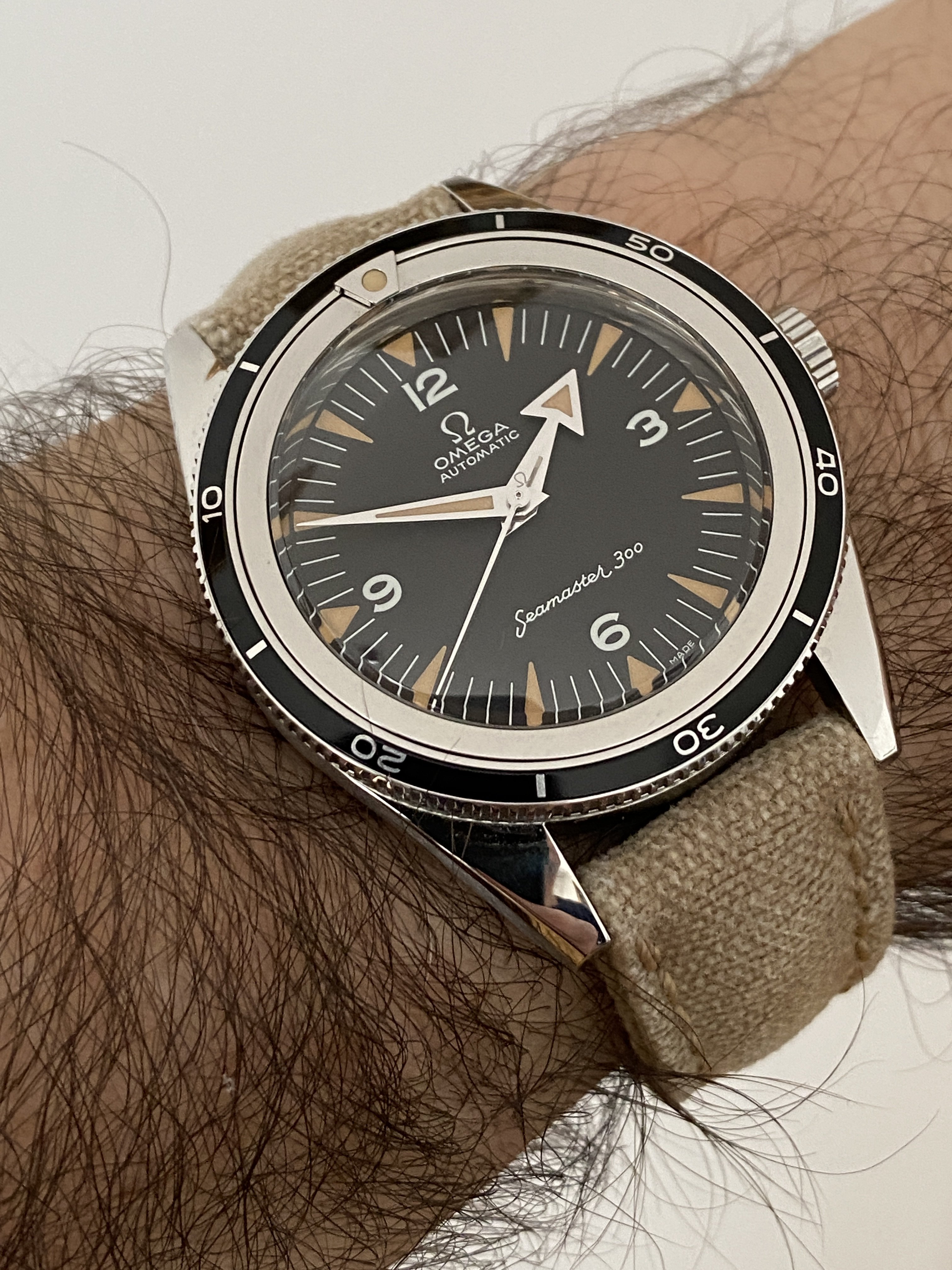 Omega seamaster hotsell 300 liquidmetal