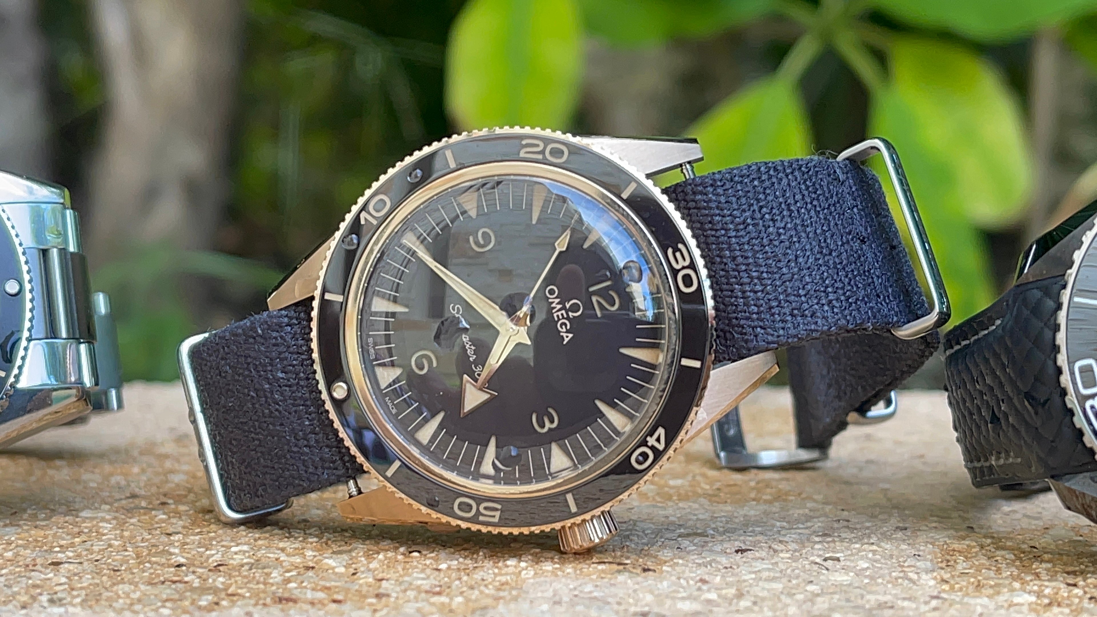 Spending 2 Weeks with the Seamaster 300 Bronze Gold Omega Forums