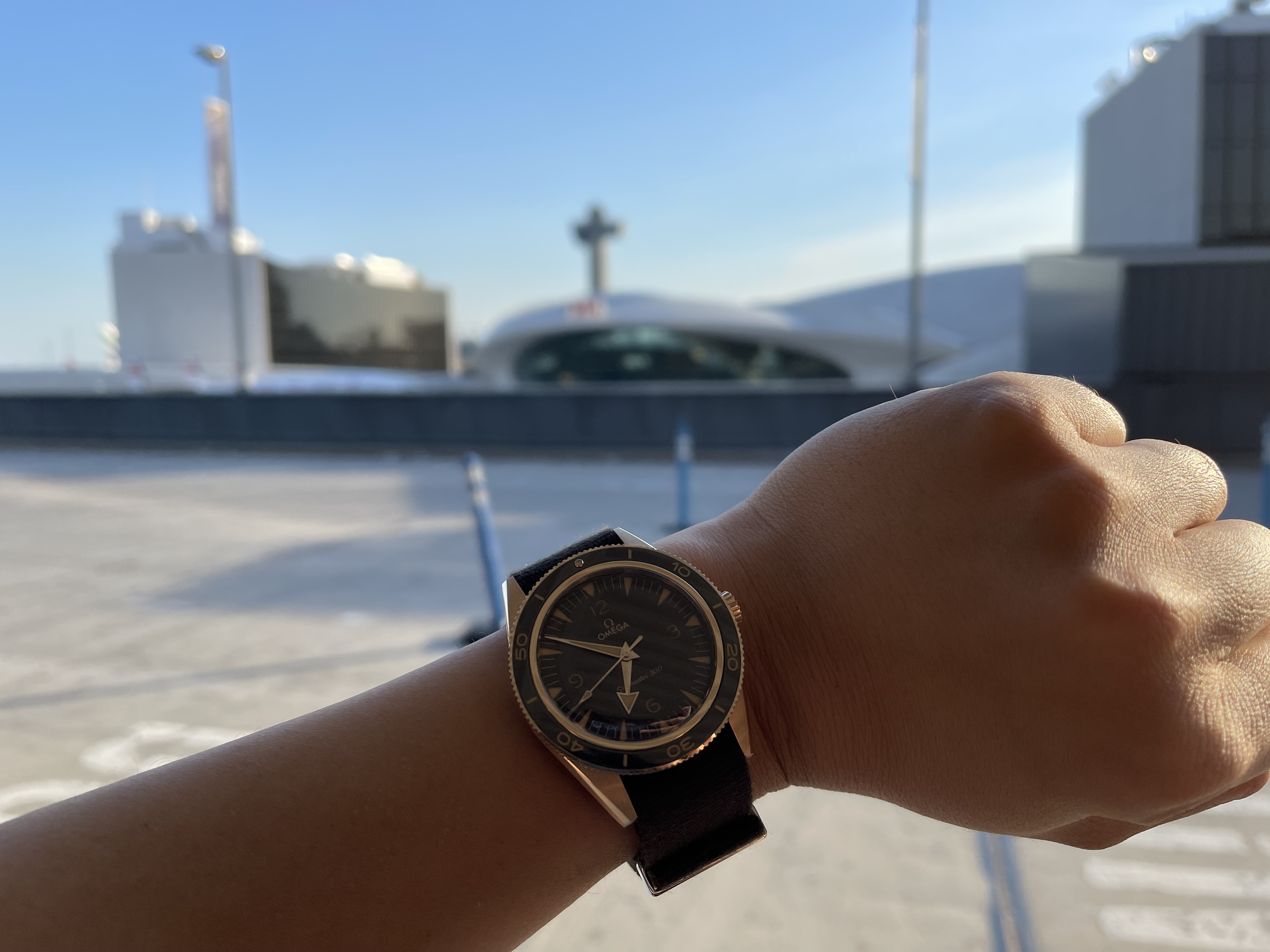 Spending 2 Weeks with the Seamaster 300 Bronze Gold Omega Forums