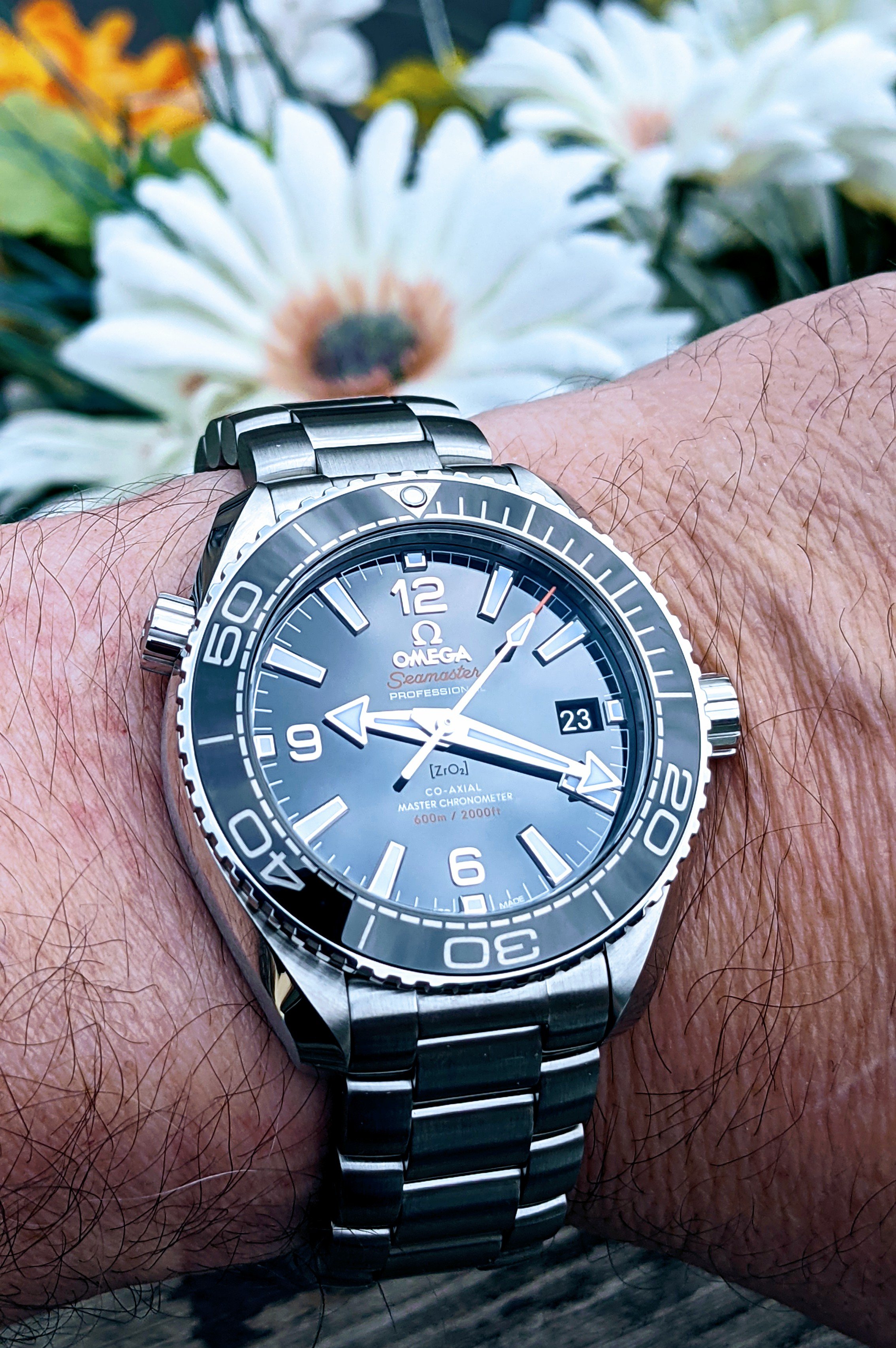 Omega planet ocean 39.5 blue sale