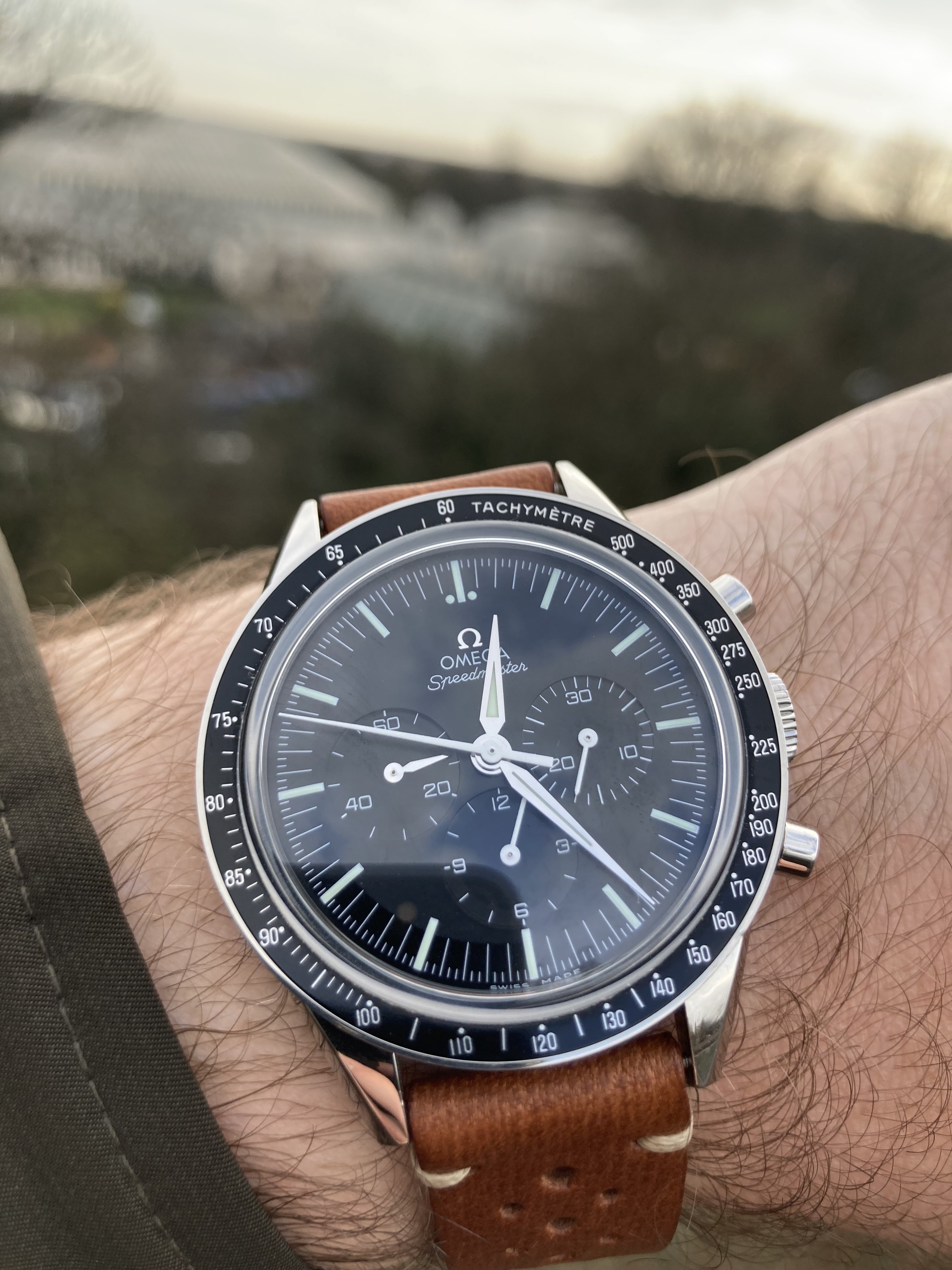 FOIS vs 3861 for small wrist Omega Forums