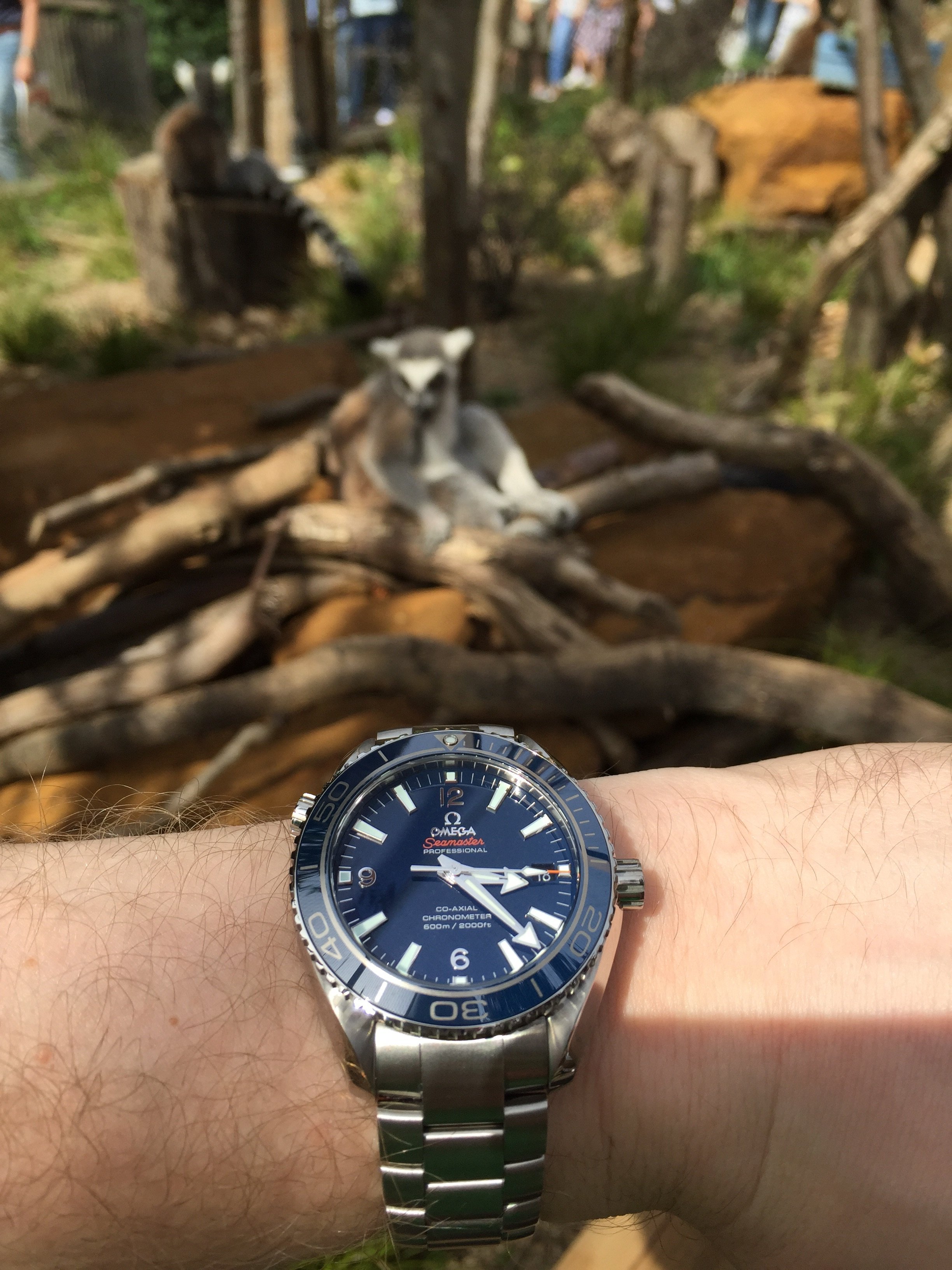 seamaster planet ocean titanium