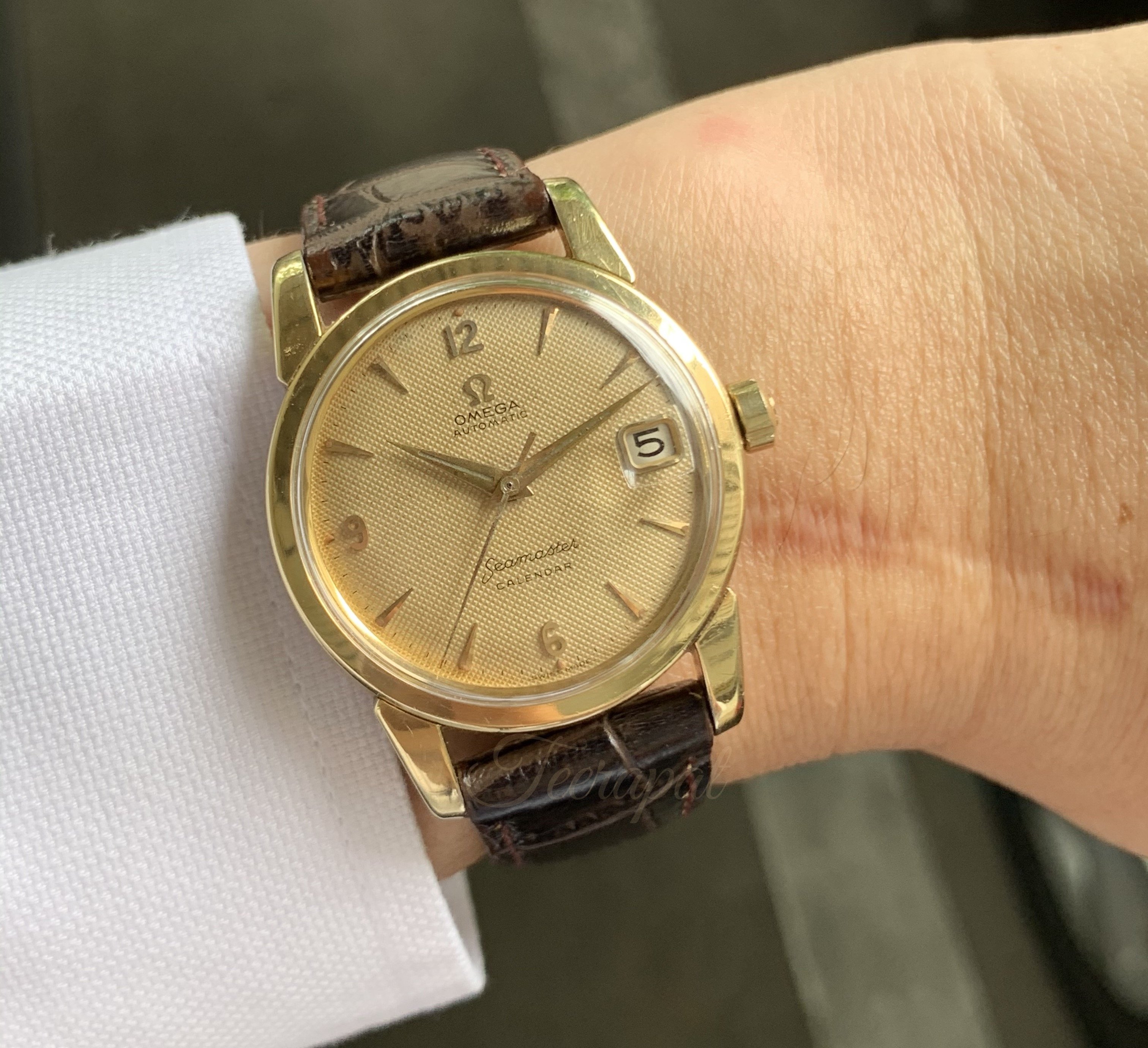 An uncommon dial in a common reference Omega Forums