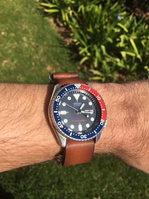 Skx marketwatch 2024