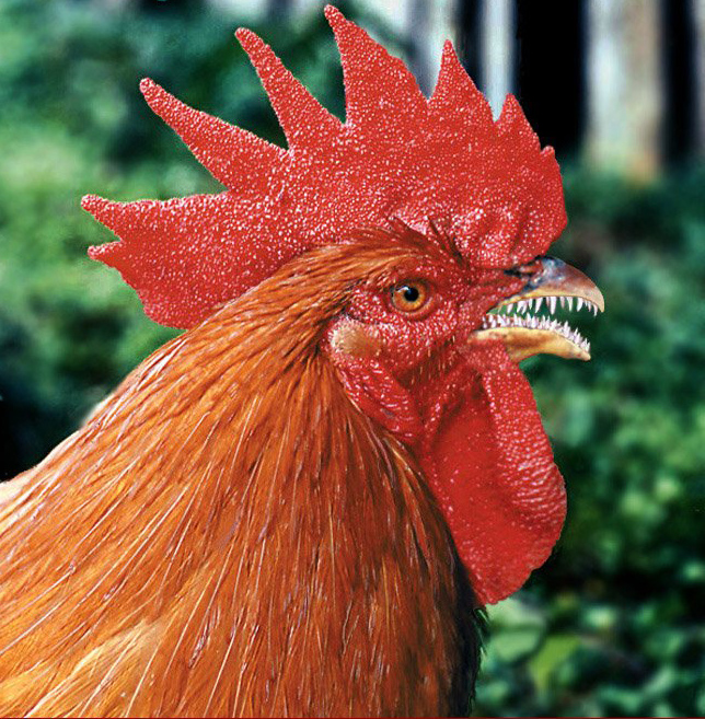 Team Simoco TSP2400B Programming cable - Transmission1