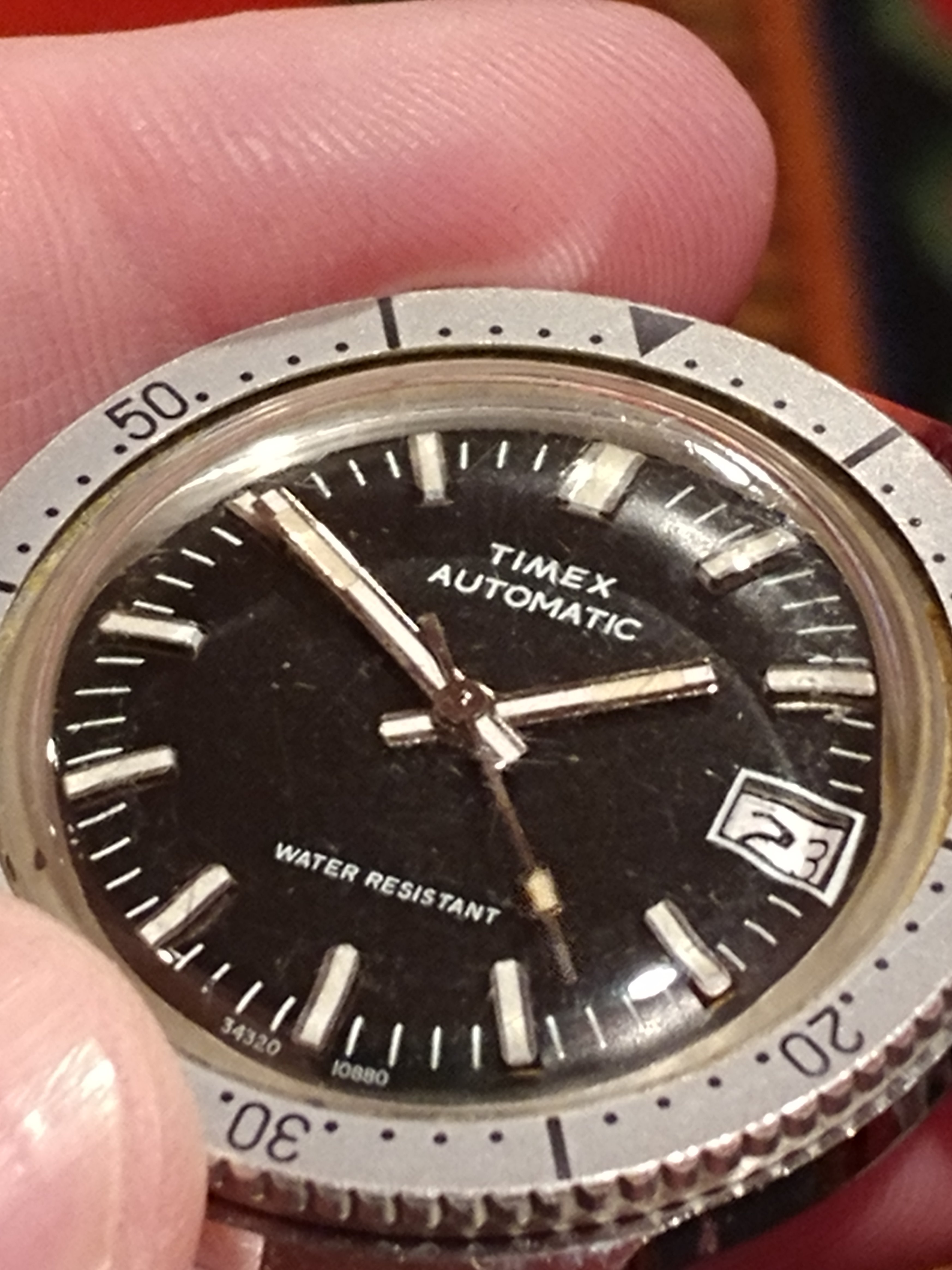 timex automatic diver