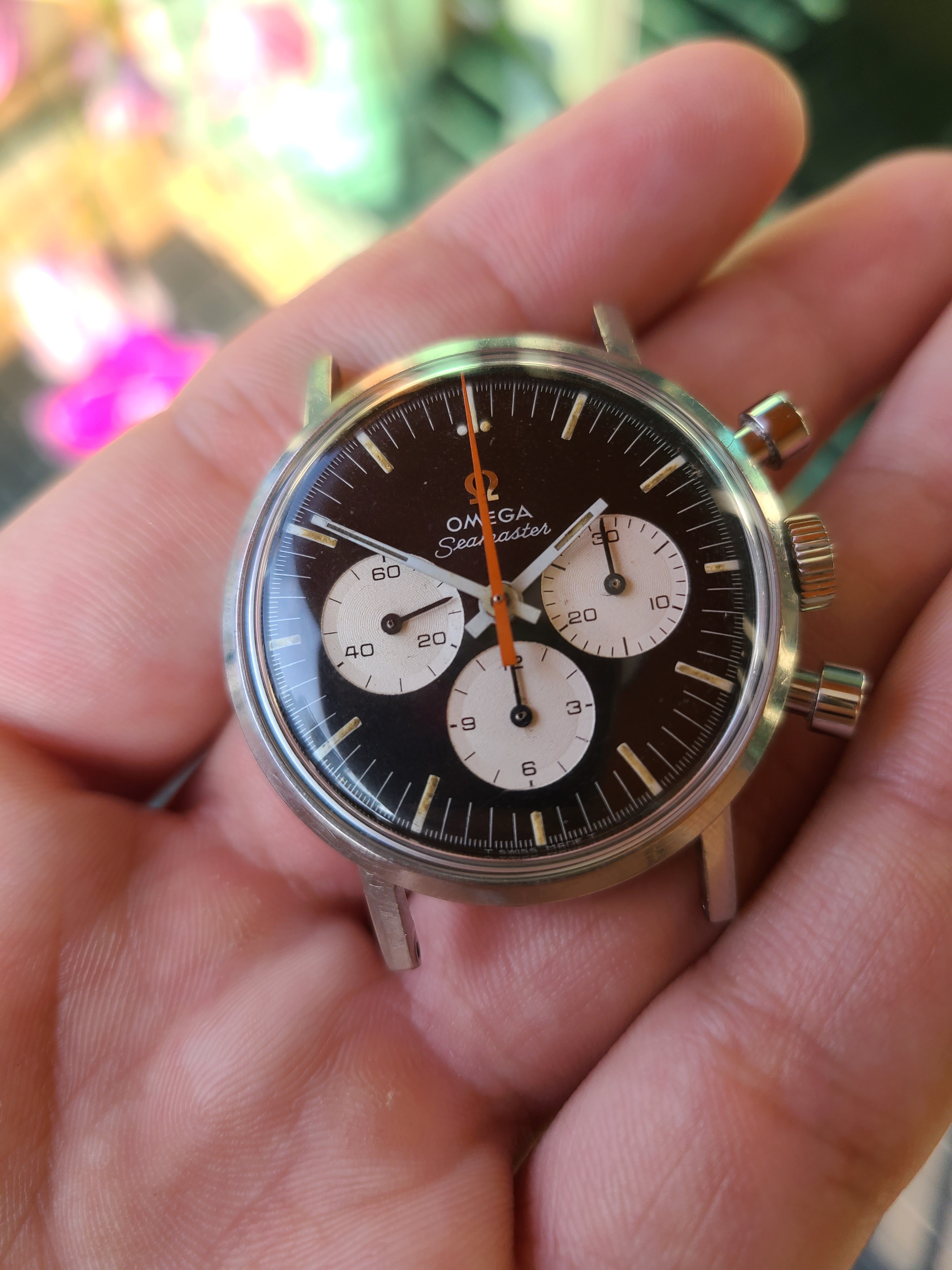 FS Reverse Panda 145.005 Seamaster Cal 321 5500 Omega Forums