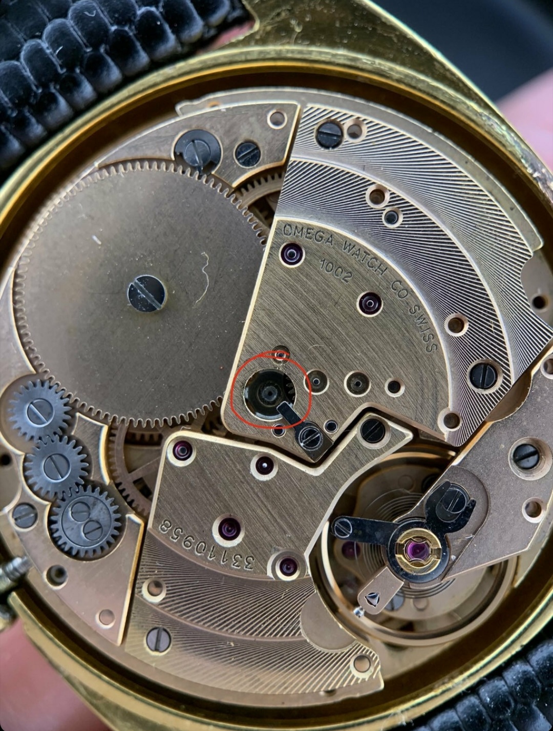 Omega 1002 outlet movement