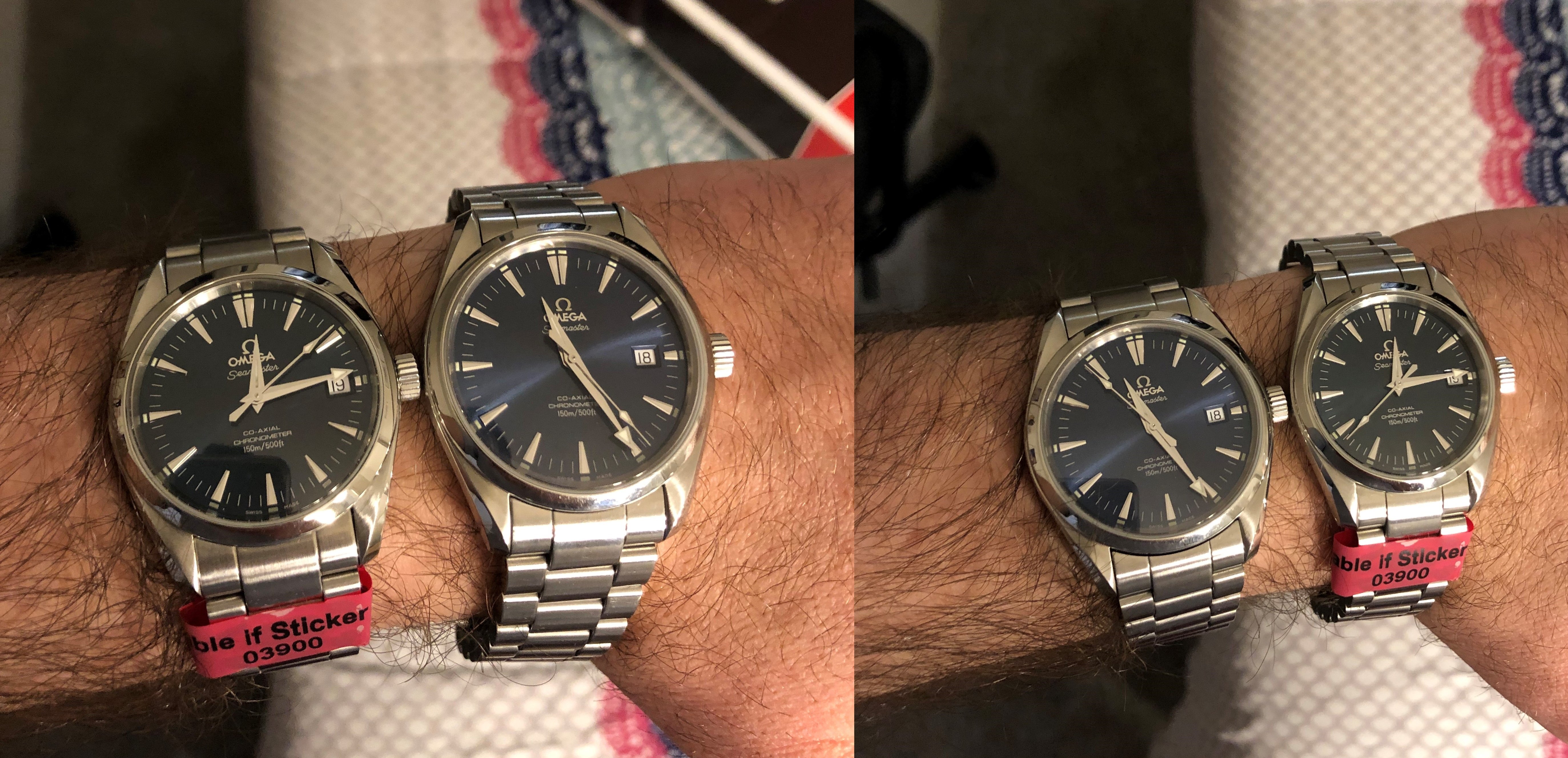 My blue Aqua Terra story Omega Forums