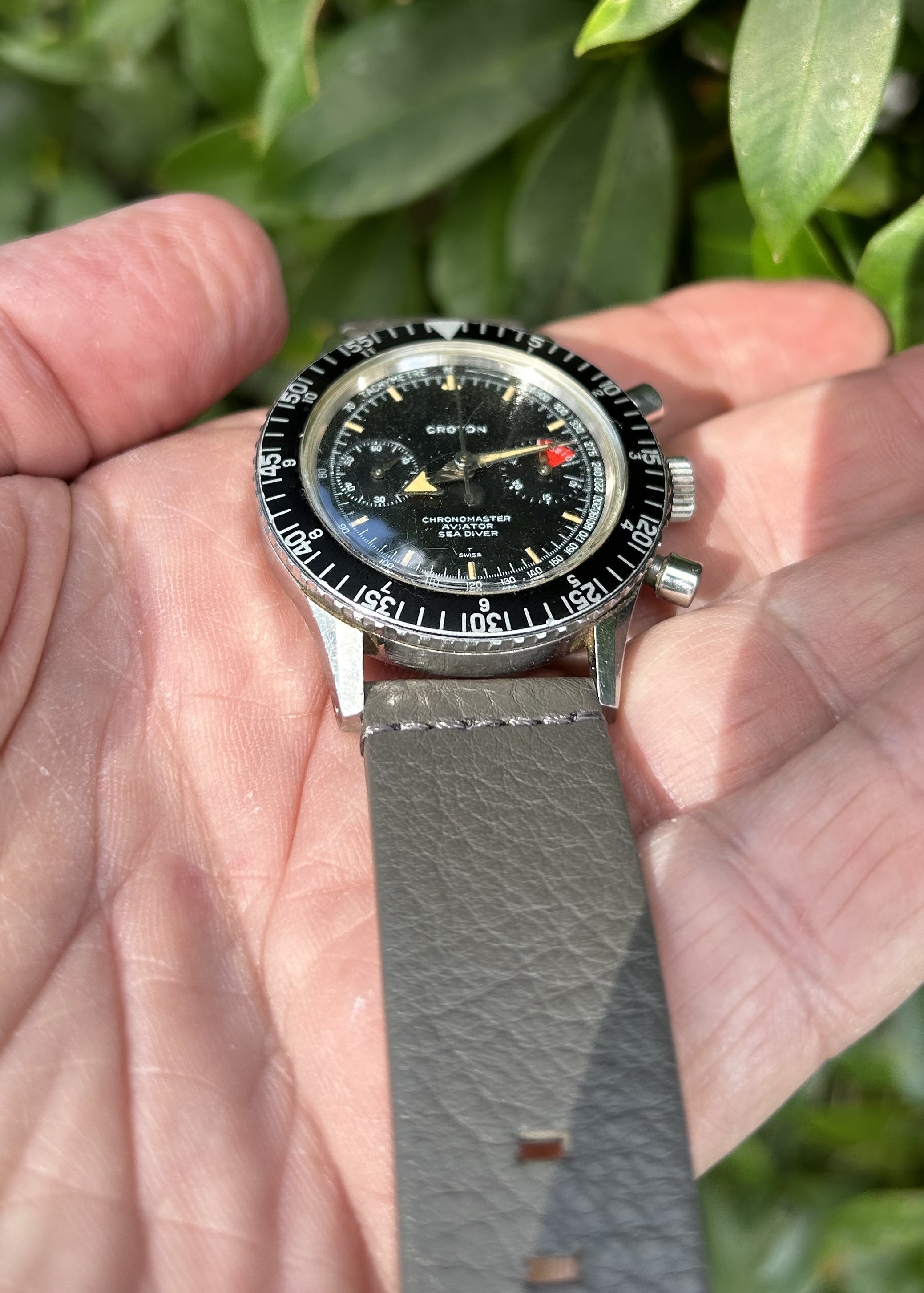 Croton diver online watch