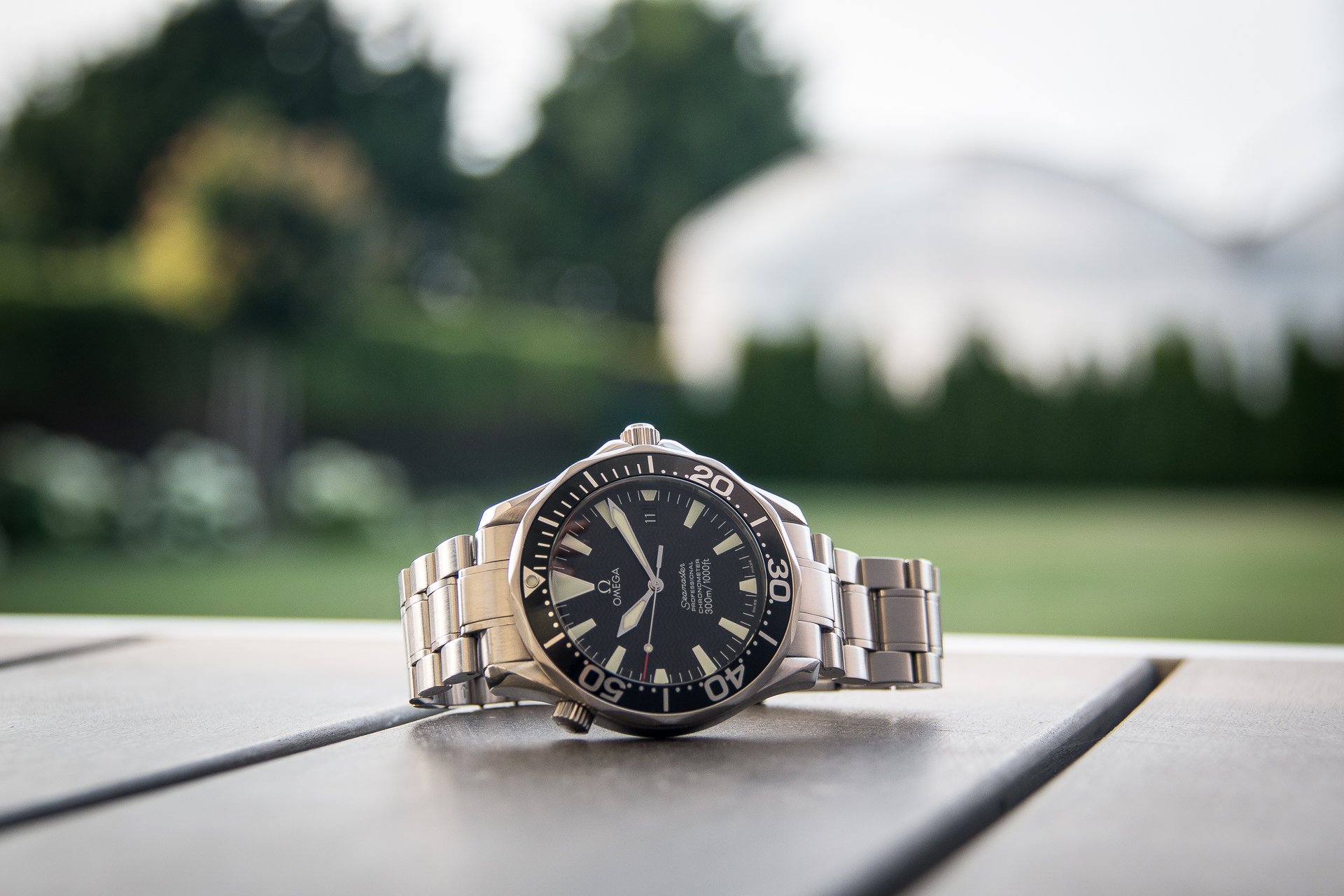 omega seamaster professional 2254.50