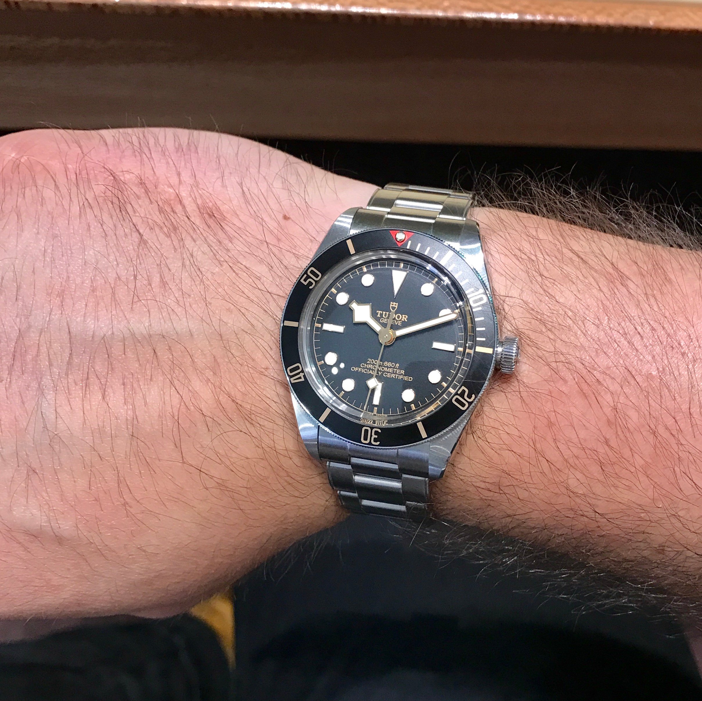 Tudor black bay vs on sale seamaster