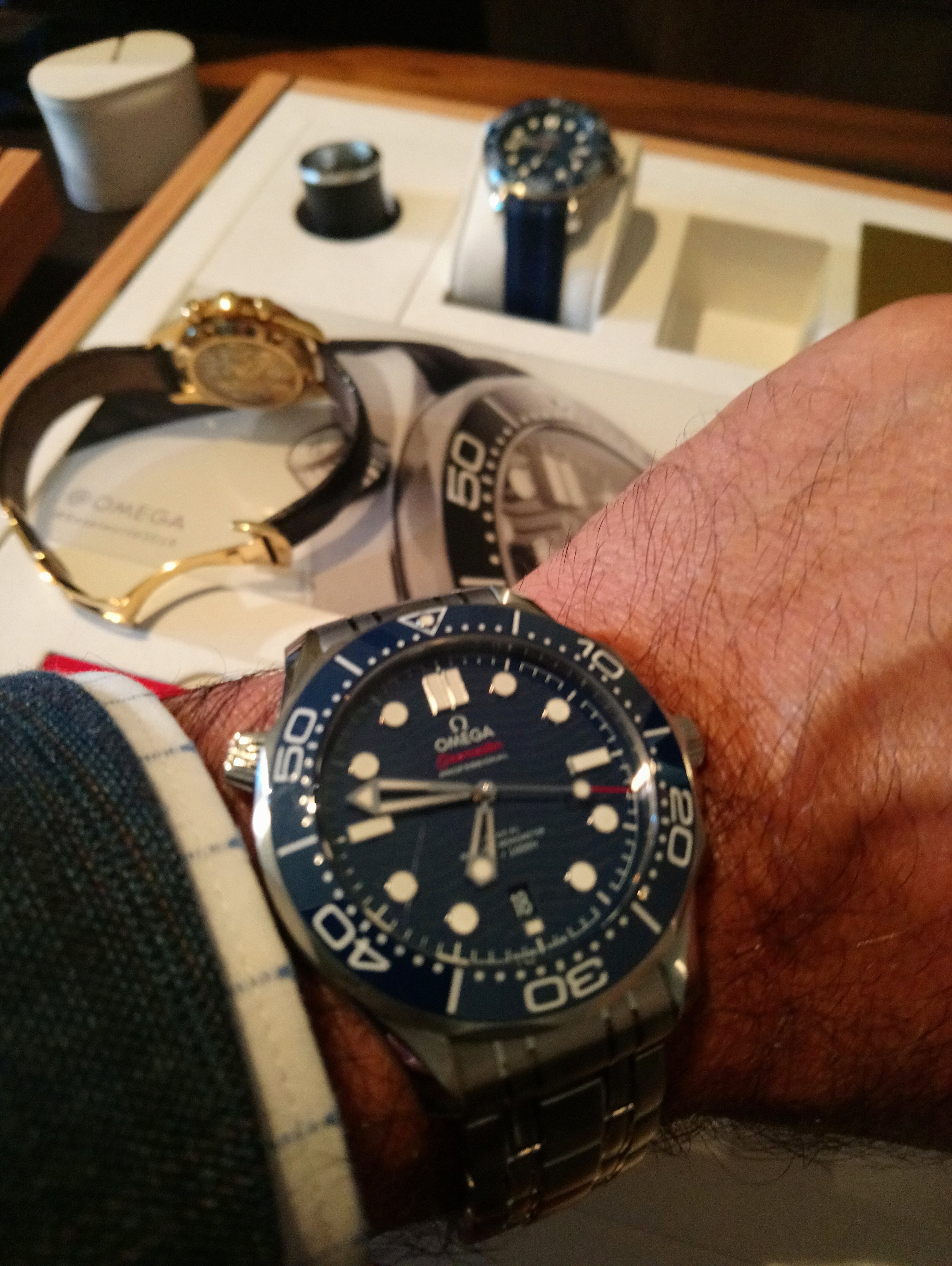 omega seamaster 300 vs aqua terra