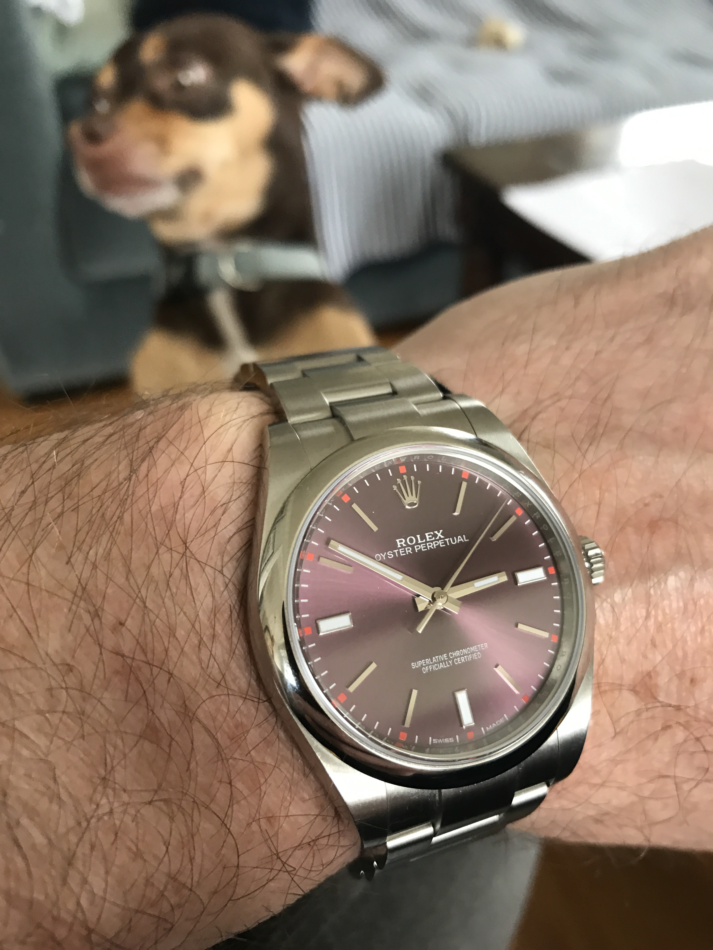 rolex oyster perpetual 39mm red grape