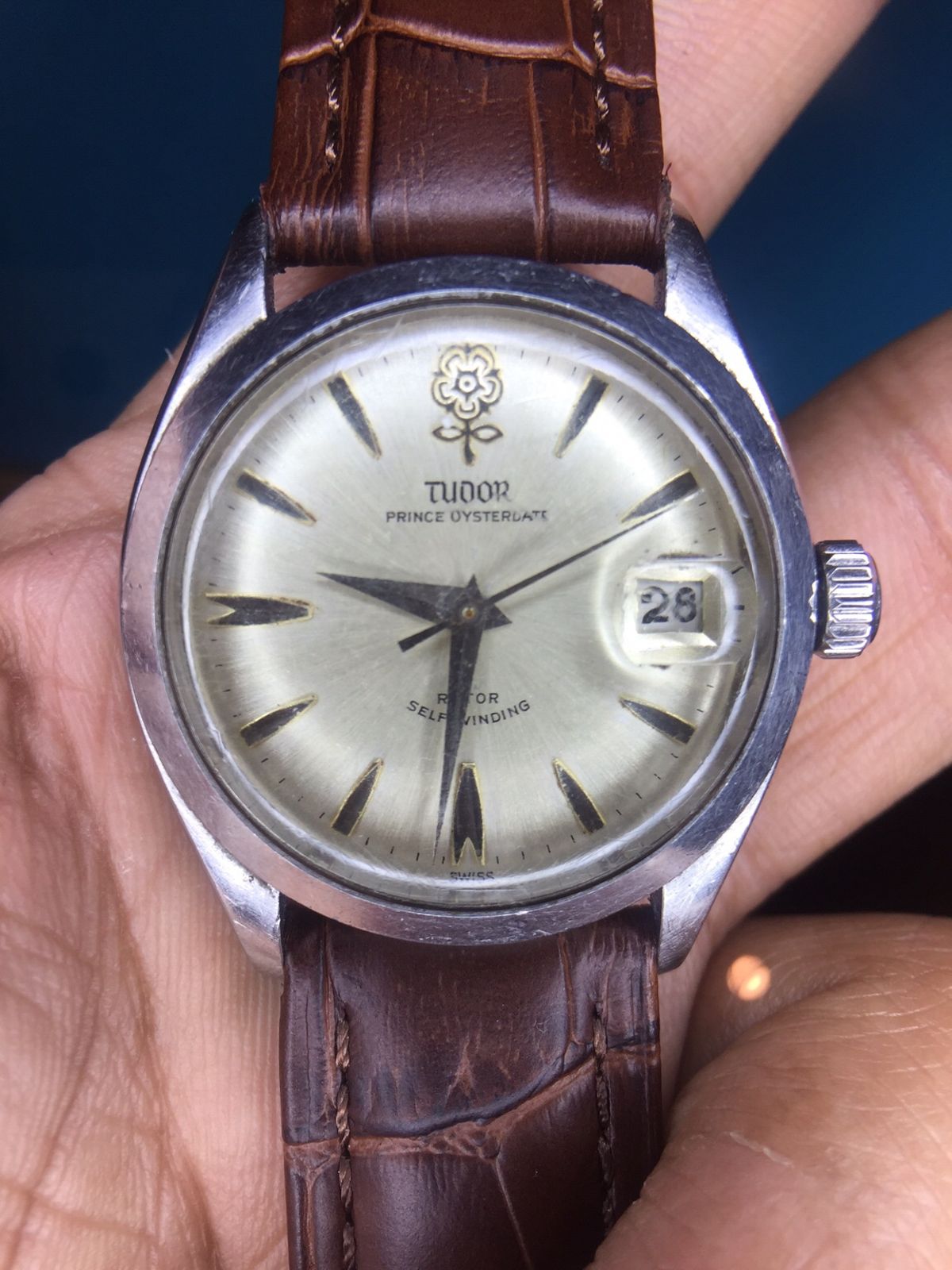 Tudor 7966 2024 big rose