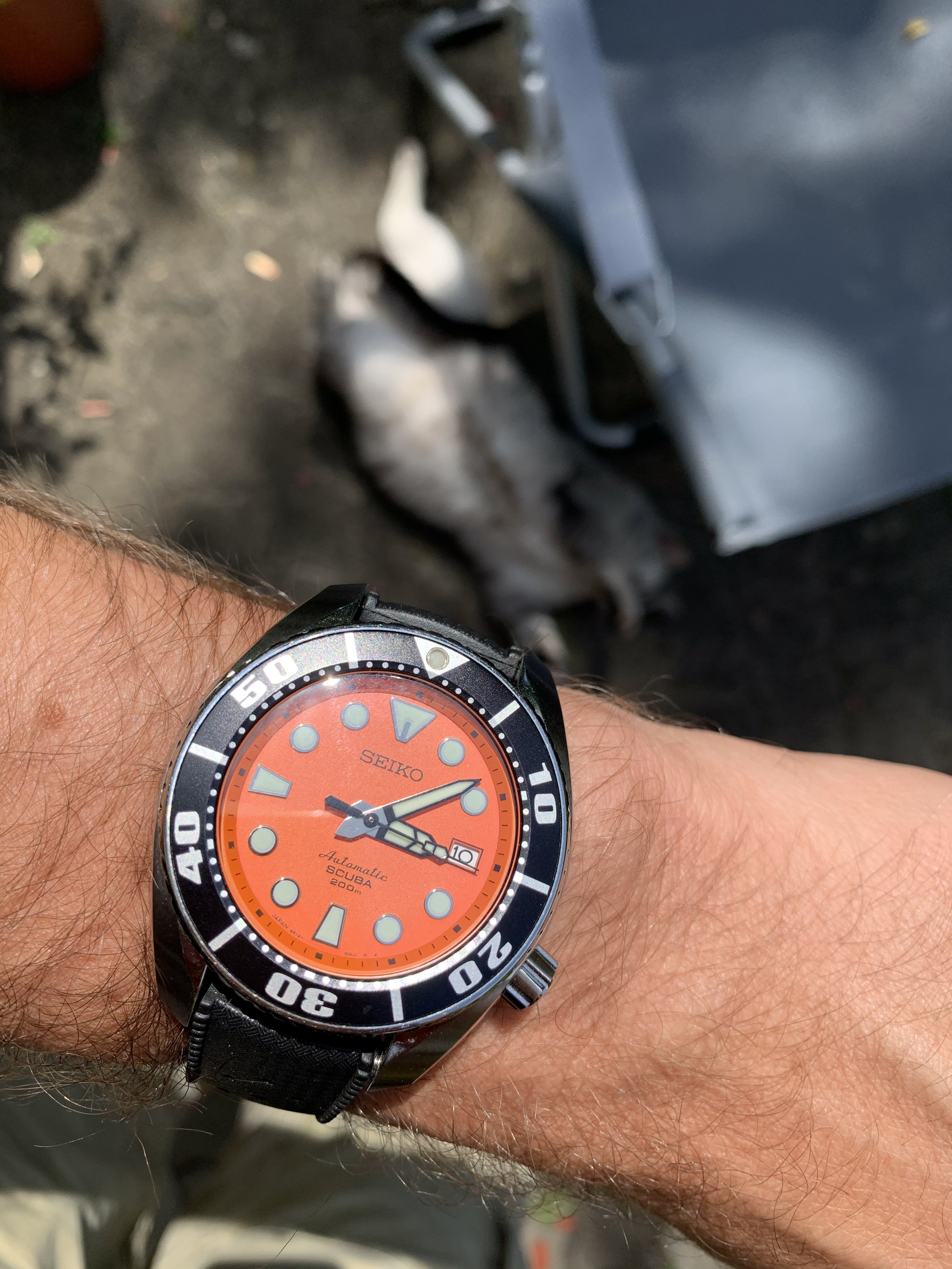 WITHDRAWN Seiko Sumo SBDC005 Gen.1 Orange Dial papers