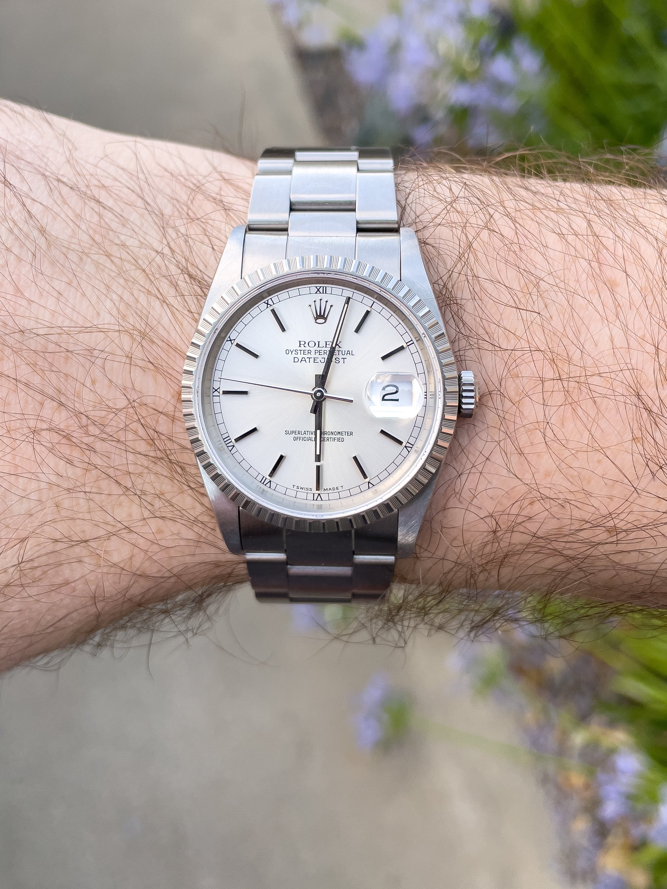 Opinions Sought Datejust 36 vs Datejust 41 Omega Forums