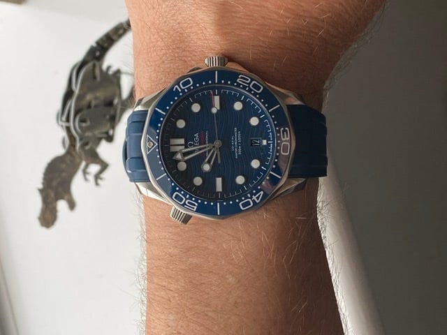 Omega seamaster on outlet wrist