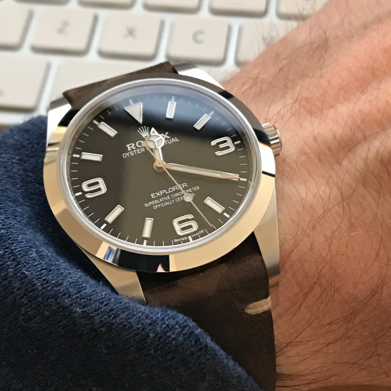 Current Rolex Explorer 1 Or Black Bay 41 Omega Forums