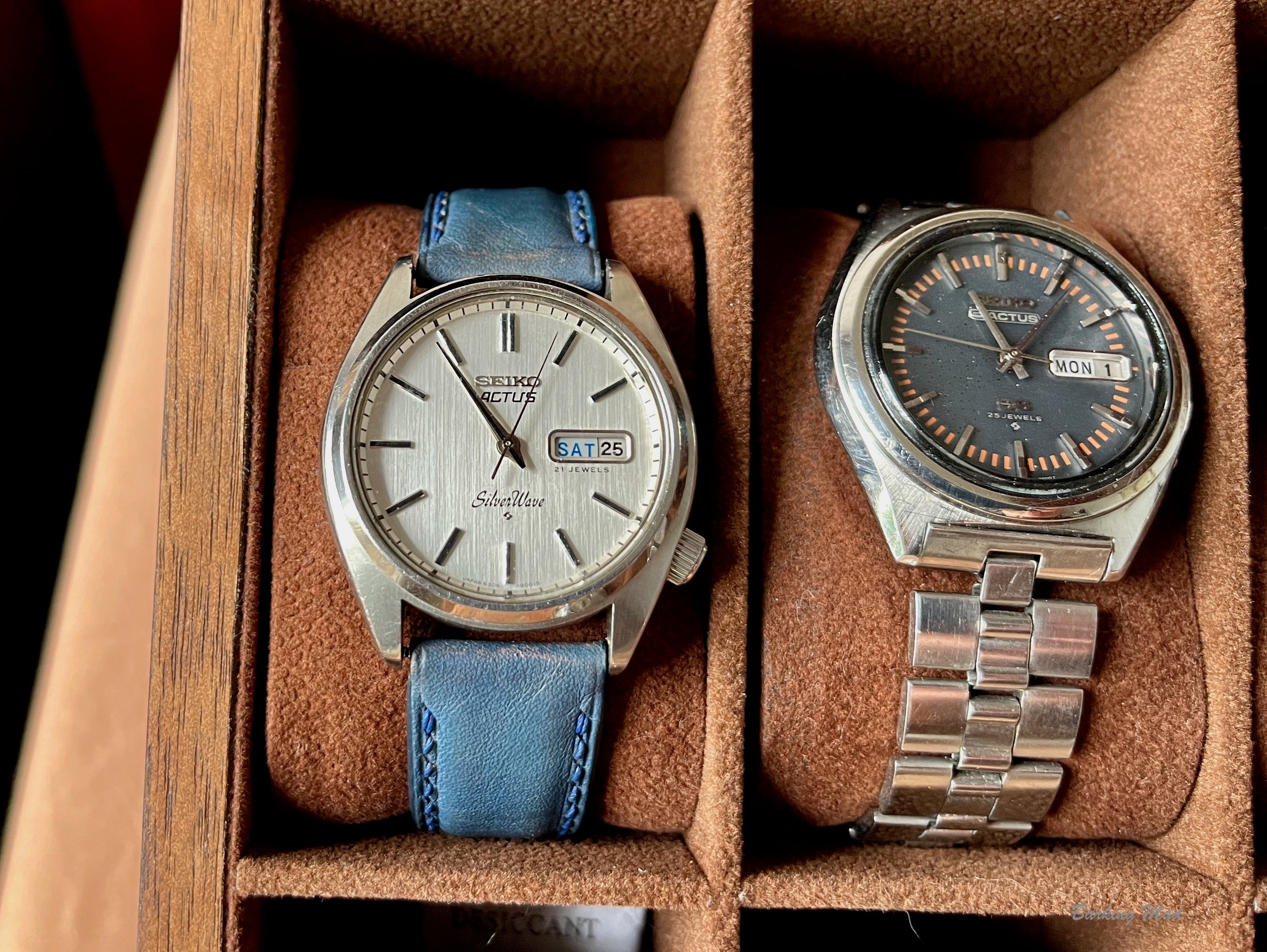 Seiko tsunami hot sale