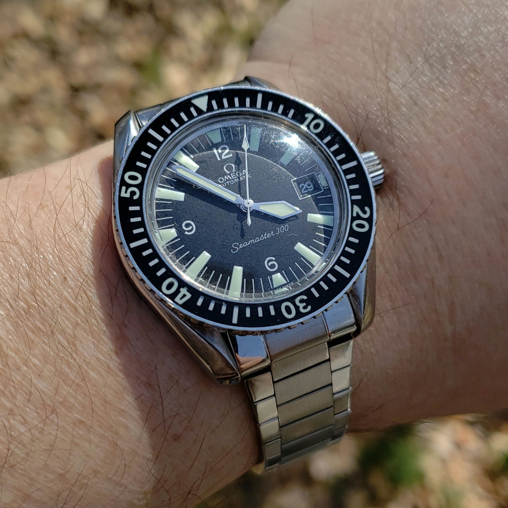 Watchco sm300 sale