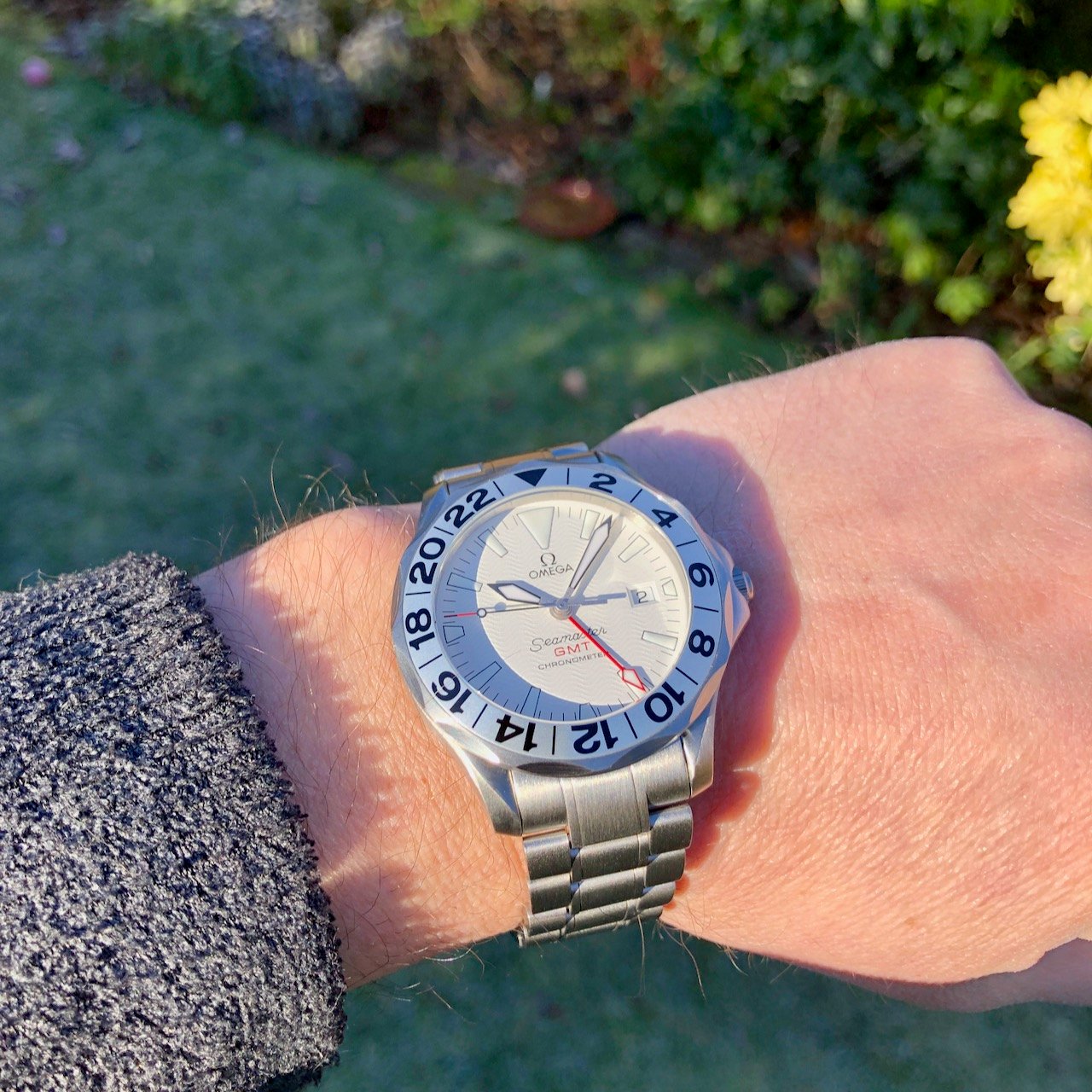 omega great white gmt