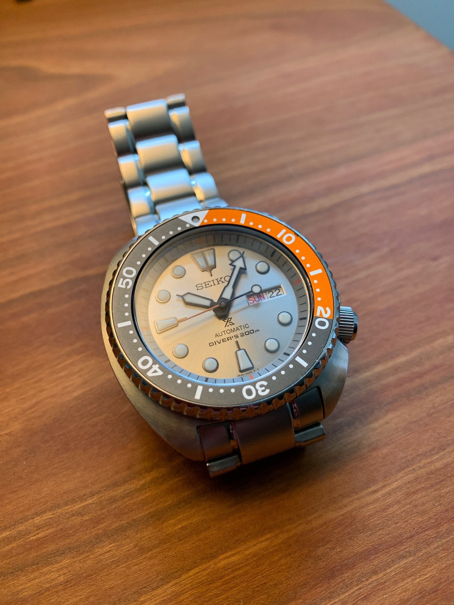 Seiko sale turtle dawn