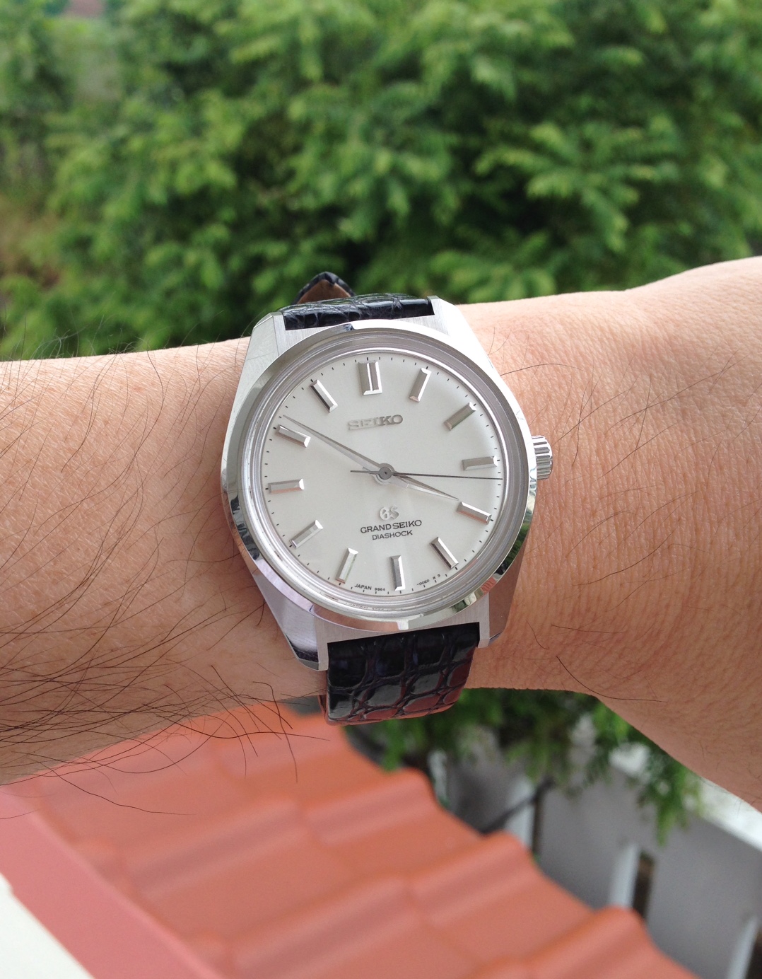 New Arrival: Grand Seiko SBGW047 | Omega Forums