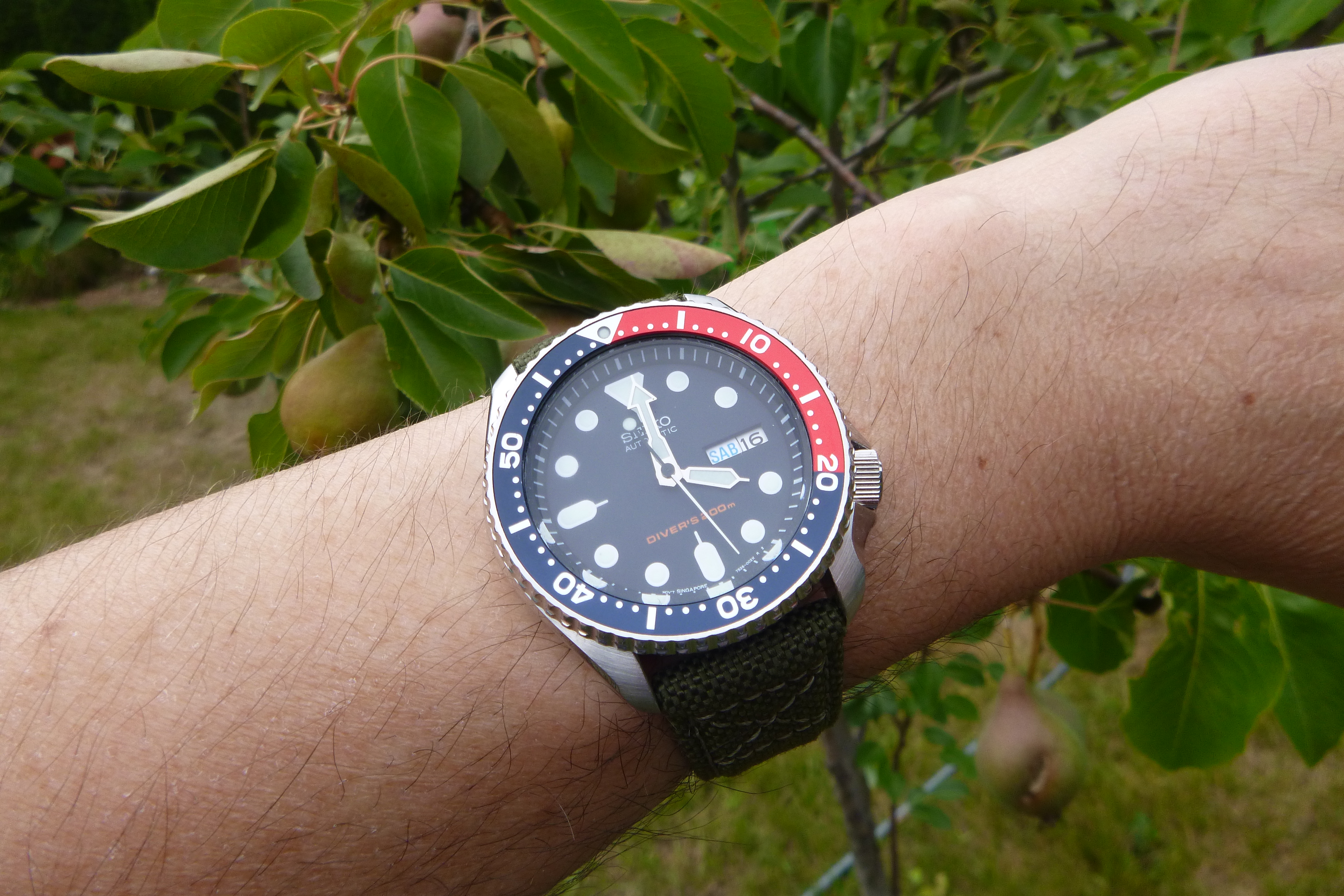 Tudor or Bremont or Oris - dive watch for small wrist | Omega Forums