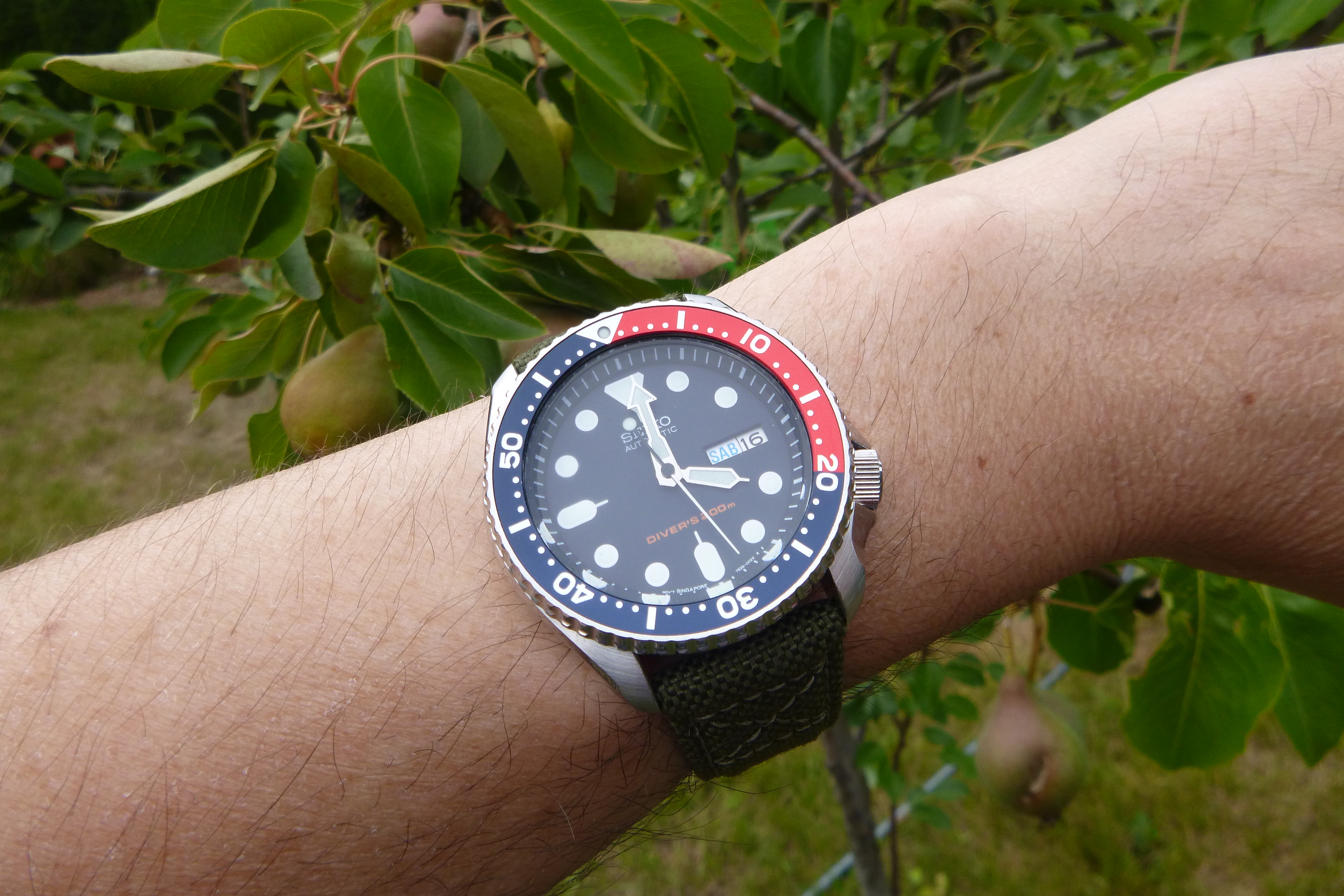 best dive watches for small wrists