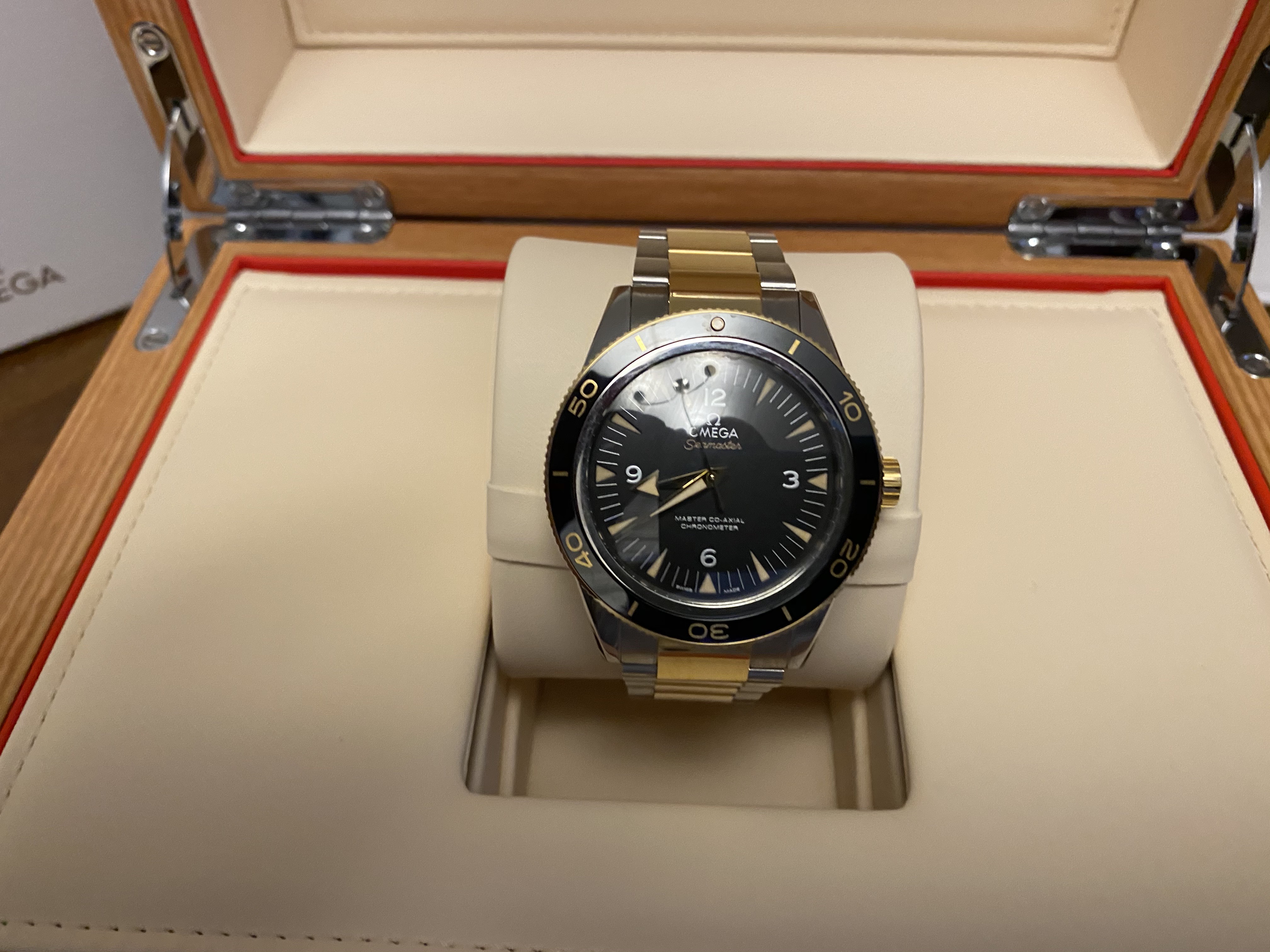 Seamaster hot sale 300 titan