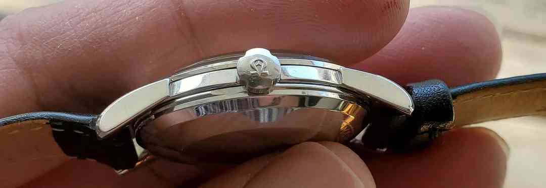 Cal 501 NAIAD crown 20260422_171310.webp