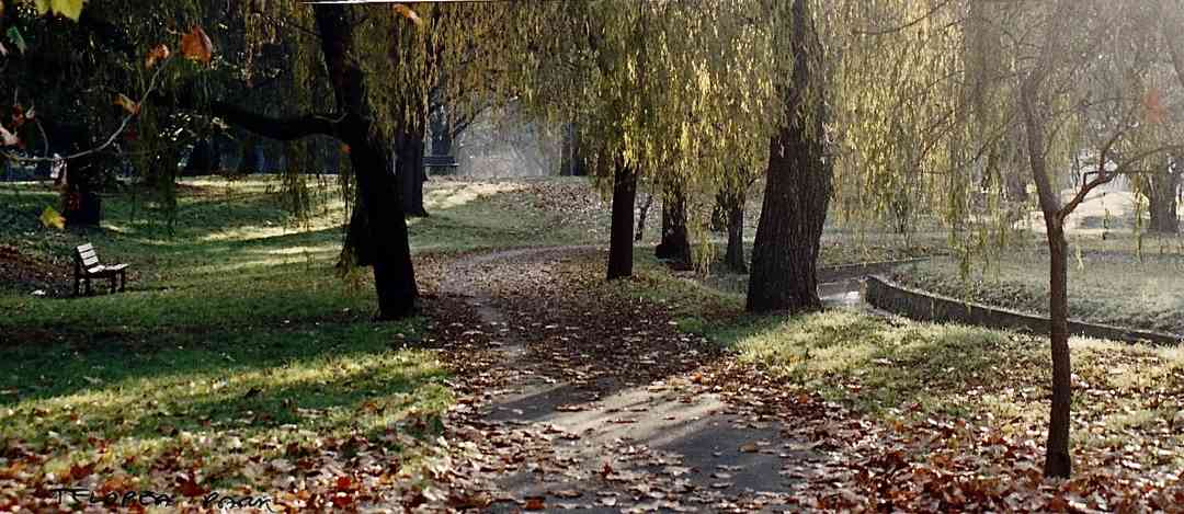 IMG_20230129_0001 2.webp