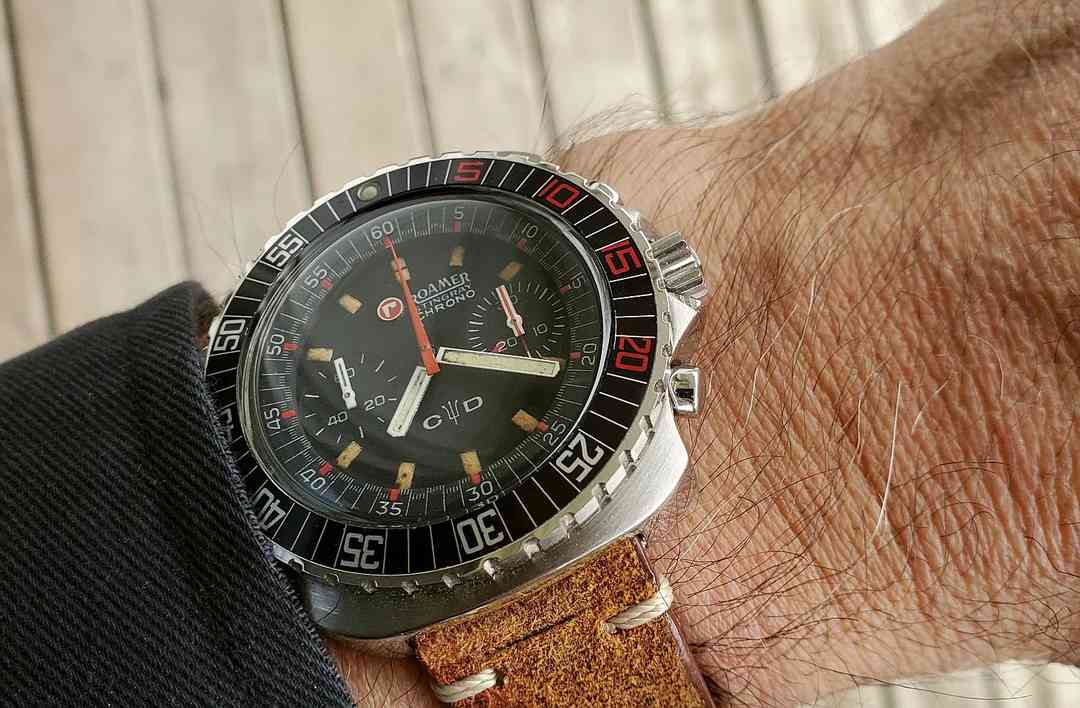 Roamer ws 1 20260425_072059.webp