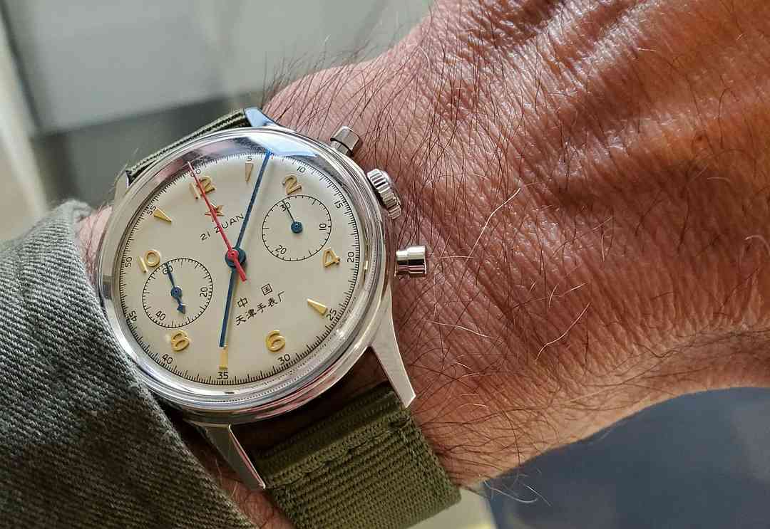 Seagull ws 1 20260422_070711.webp