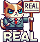 :realcat2: