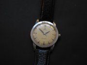 Omega Aut Seamaster 001.jpg