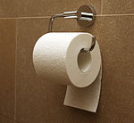 150px-Toilet_paper_orientation_under.jpg