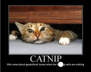 Catnip.jpg