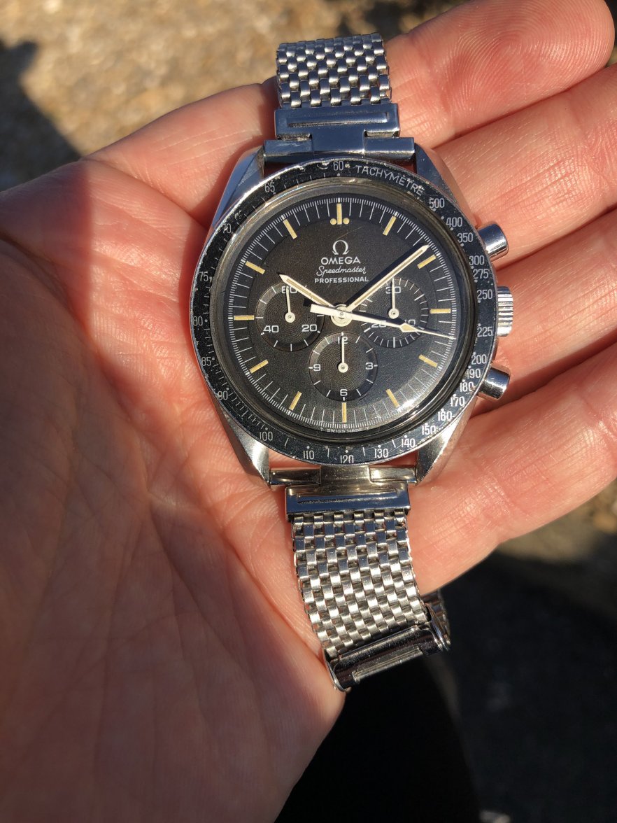 IMG_5305.JPG IMG_5305.JPG