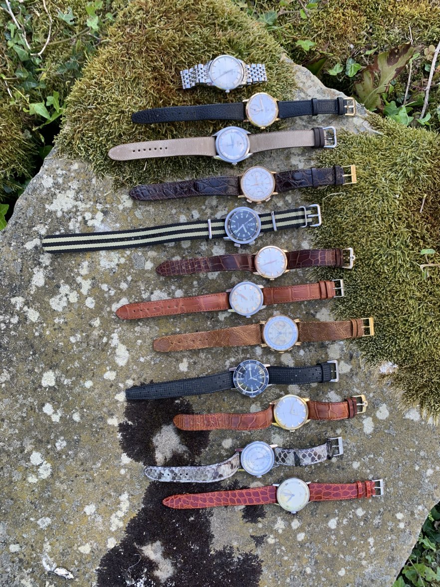 4C199B03-4A50-431E-9CA3-A8811E4F3E10.jpeg 4C199B03-4A50-431E-9CA3-A8811E4F3E10.jpeg