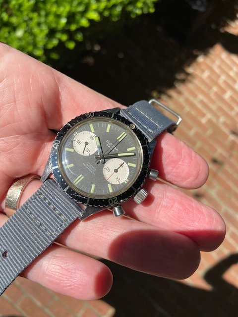 IMG_1592.jpg IMG_1592.jpg