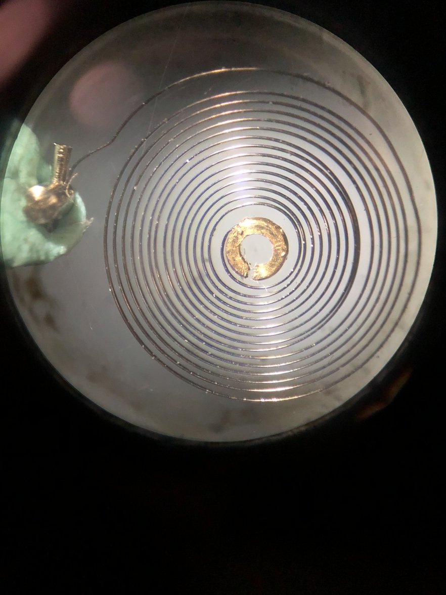 B031B03D-7149-4F30-96EB-C8DA09AA2BFC.jpeg B031B03D-7149-4F30-96EB-C8DA09AA2BFC.jpeg