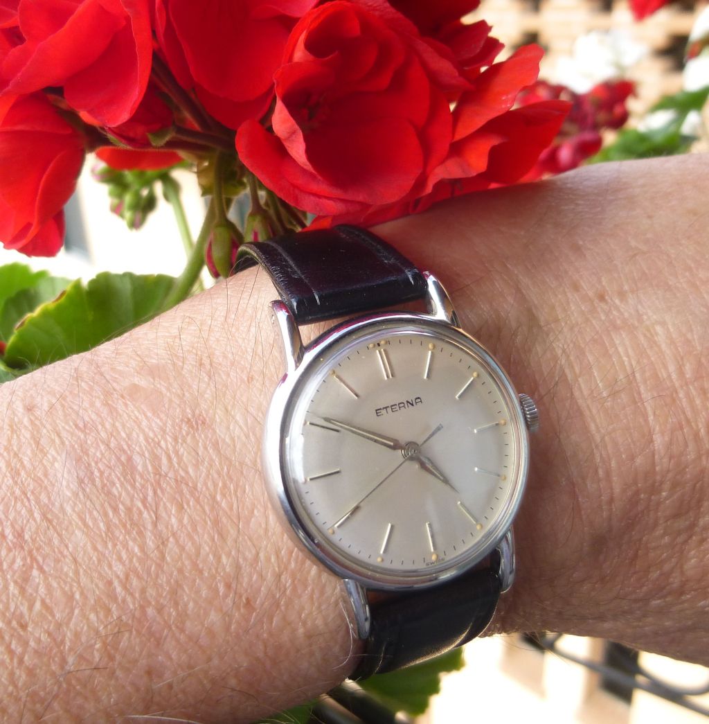 eterna svezia (11).JPG