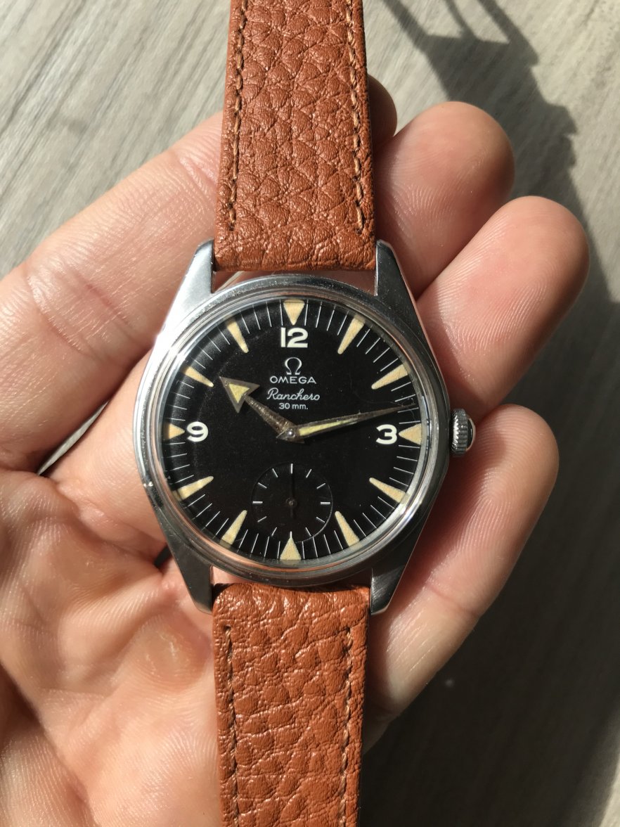 IMG_9262.JPG IMG_9262.JPG