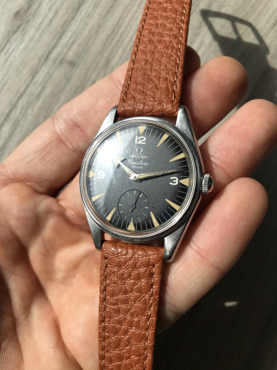 IMG_9264.JPG IMG_9264.JPG