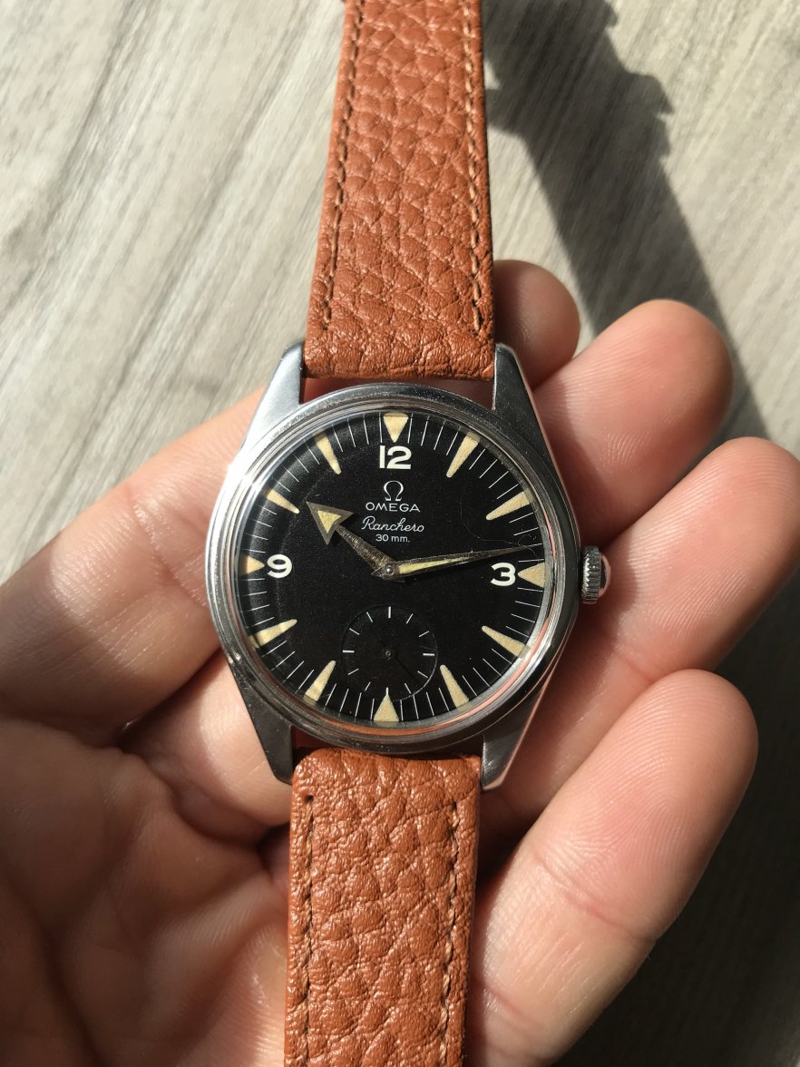 IMG_9269.JPG IMG_9269.JPG