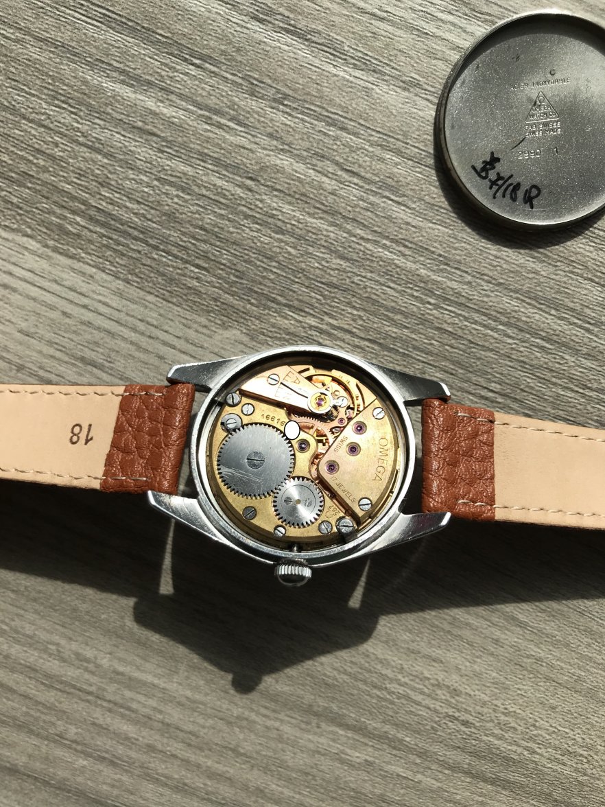 IMG_9285-1.jpg IMG_9285-1.jpg