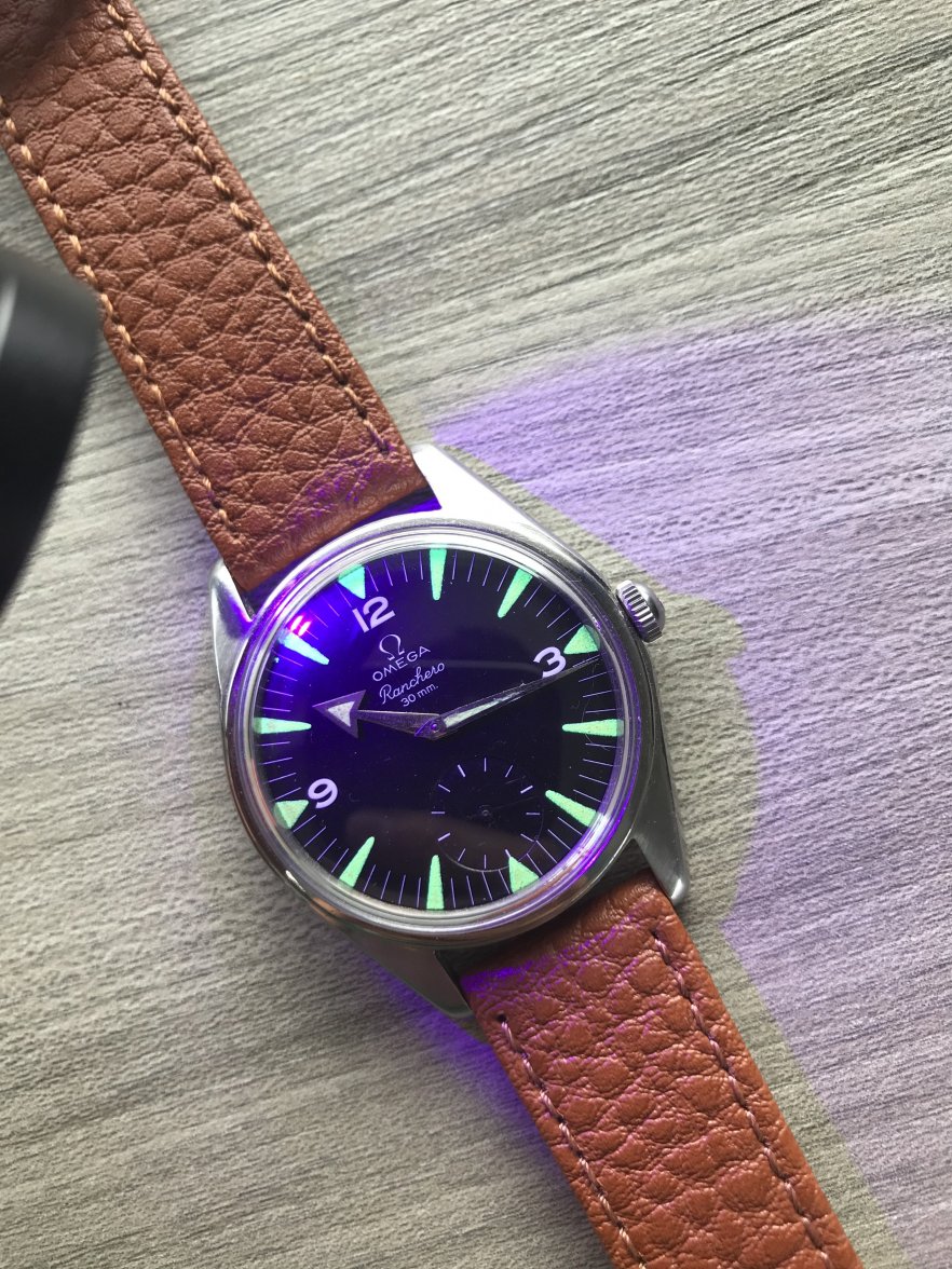 IMG_9230.JPG IMG_9230.JPG