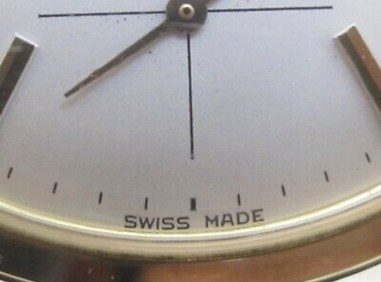 C3967988-288B-432F-8F66-A3DE7DFFF683.jpeg C3967988-288B-432F-8F66-A3DE7DFFF683.jpeg